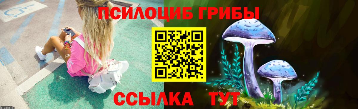 Дивногорск  Галлюциногенные грибы Magic Shrooms  купить наркотики сайты  Вход с VPN 